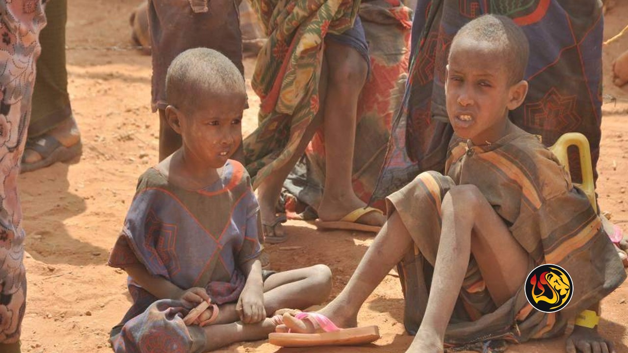 Report Shows 258 Million People In 58 Countries Faced Acute Food Insecurity Last Year “stinging